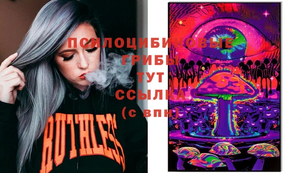 молекула духа Корсаков