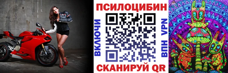 это состав  гидра ссылка  Малгобек  Галлюциногенные грибы Psilocybe 